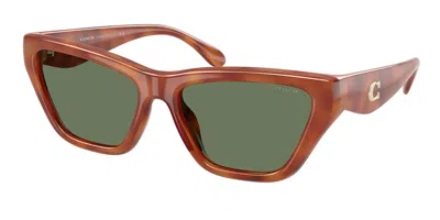 Coach Hc8449u Cdp33 577482 Women's Sunglasses Tortoiseshell Size 56 In Brown