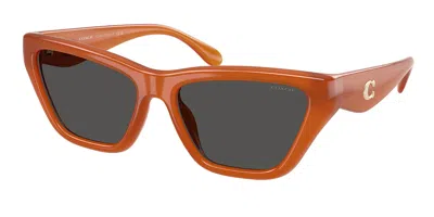 Coach Hc8449u Cdp33 593087 Women's Sunglasses Orange Size 56