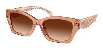 Coach Hc8451u Cdp49 593774 Women's Sunglasses Brown Size 54