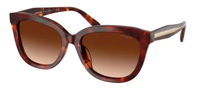 Coach Hc8453u Cdp53 593874 Women's Sunglasses Tortoiseshell Size 56