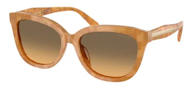Coach Hc8453u Cdp53 593911 Women's Sunglasses Tortoiseshell Size 56
