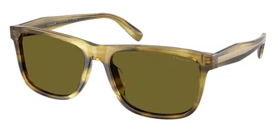 Coach Hc8454u Cdp55 5945/2 Men's Sunglasses Green Size 59