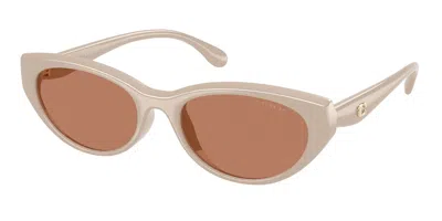 Coach Hc8456d Cdp42 Asian Fit 58843 Women's Sunglasses Brown Size 55