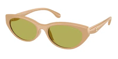 Coach Hc8456d Cdp42 Asian Fit 5929/2 Women's Sunglasses Brown Size 55