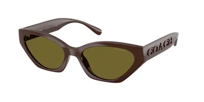 Coach Hc8459u Cft83 5957/2 Women's Sunglasses Brown Size 55 In Pecan