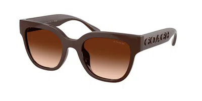 Coach Hc8460u Cft88 595774 Women's Sunglasses Brown Size 51 In Pecan