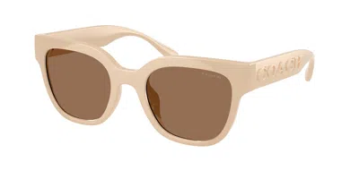 Coach Hc8460u Cft88 595873 Women's Sunglasses Brown Size 51 In Nude