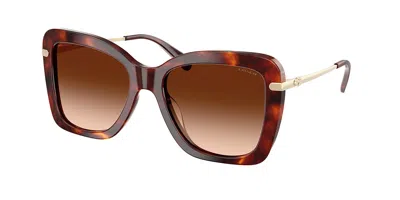 Coach Hc8461u Cfu03 593874 Women's Sunglasses Tortoiseshell Size 54 In Walnut Tortoise