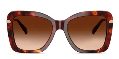 Coach Hc8461u Cfu03 Tortoise
