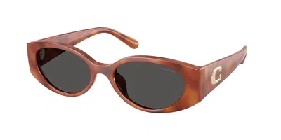 Coach Hc8462u Cfu06 577487 Women's Sunglasses Tortoiseshell Size 54 In Brown
