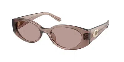 Coach Hc8462u Cfu06 59627n Women's Sunglasses Purple Size 54 In Transparent Mauve