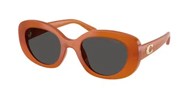 Coach Hc8463u Cfu08 593087 Women's Sunglasses Orange Size 51 In Pearly Amber