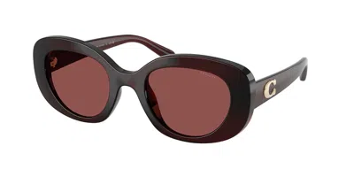 Coach Hc8463u Cfu08 596375 Women's Sunglasses Red Size 51 In Transparent Garnet