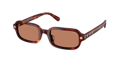 Coach Hc8465u Cfu11 593873 Women's Sunglasses Tortoiseshell Size 51 In Walnut Tortoise
