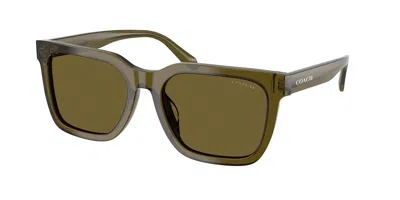 Coach Hc8466u Cfu12 591073 Men's Sunglasses Green Size 56 In Brown