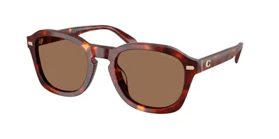 Coach Hc8467u Cfu14 593873 Men's Sunglasses Tortoiseshell Size 53 In Walnut Tortoise