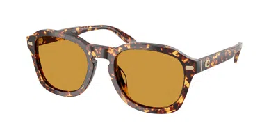 Coach Hc8467u Cfu14 5974/3 Men's Sunglasses Tortoiseshell Size 53 In Mustard Tortoise