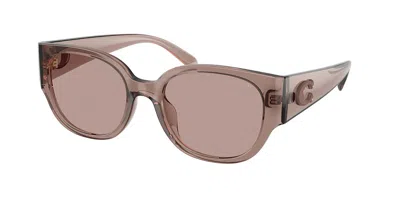 Coach Hc8469d Cfu17 Asian Fit 59627n Women's Sunglasses Purple Size 54 In Transparent Mauve