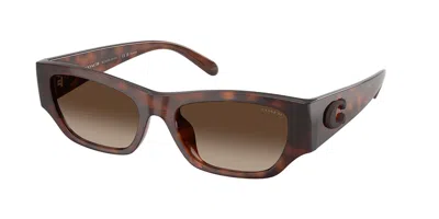 Coach Hc8470d Cfu16 Asian Fit Polarized 512087 Women's Sunglasses Tortoiseshell Size 55 In Dark Tortoise