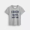 Coach In Heather Grey