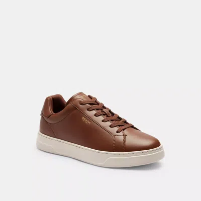 Coach High Line Sneaker In Dark Saddle