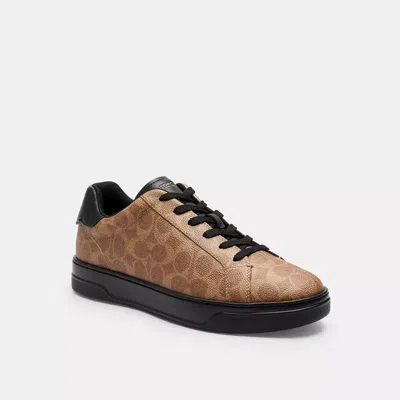 Coach High Line Sneaker In Signature Canvas In Brown