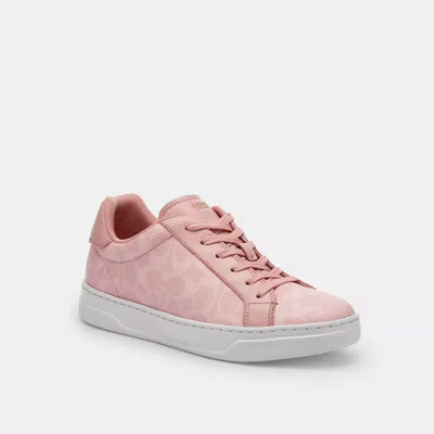 Coach High Line Sneaker In Signature Canvas In Pink