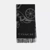 Coach Horse And Carriage Cashmere Muffler In Black