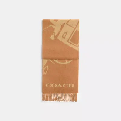 Coach Horse And Carriage Cashmere Muffler In Honey Brown