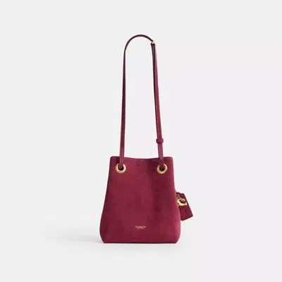 Coach Jade Drawstring Bag In Burgundy