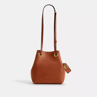 Coach Jade Drawstring Bag In Brown