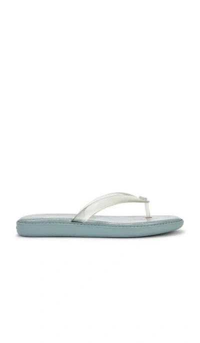 Coach Jelly Flip Flop Sandal In Gray