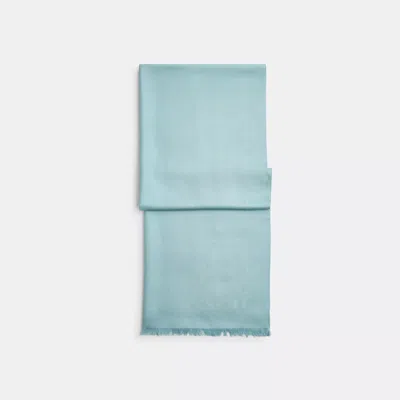 Coach Jumbo Horse And Carriage Wrap In Blue