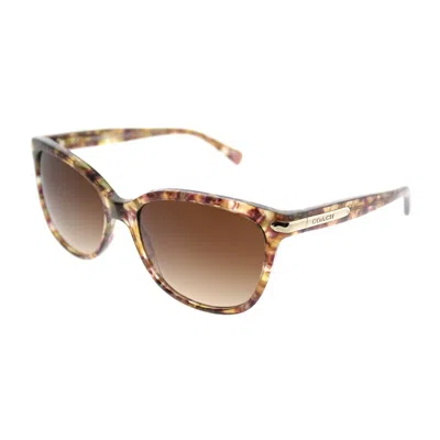 Coach L19 Hc 8132 528713 Womens Cat-eye Sunglasses In Brown
