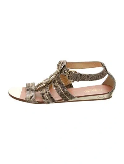 Pre-owned Coach Leather Animal Print Gladiator Sandals In Brown