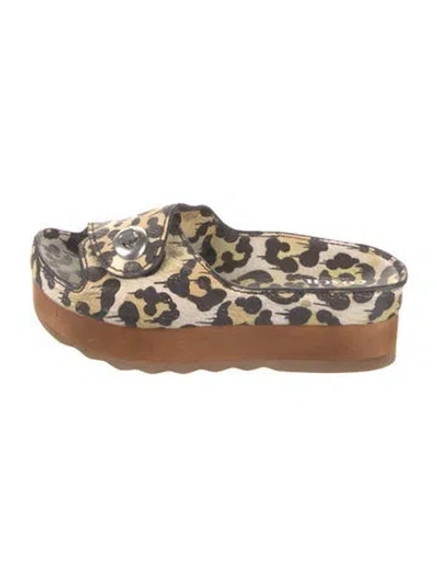 Pre-owned Coach Leather Animal Print Slides In Multi