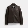 Coach Leather Jacket In Brown
