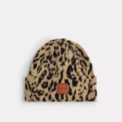 Coach Leopard Print Beanie In Brown