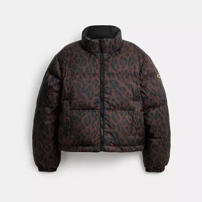 Coach Leopard Print Reversible Puffer Jacket In Recycled Polyamide In Brown