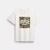 Coach Leopard Signature Square Classic T-shirt In Organic Cotton In White