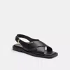 Coach Link Criss Cross Sandal In Black