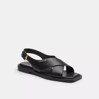 Coach Link Criss Cross Sandal In Black