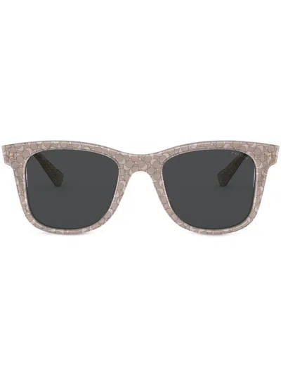 Coach L1135 Sunglasses In Neutrals