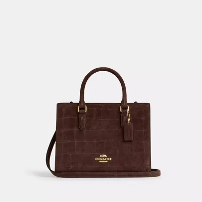 Coach Maggie Small Tote Bag In Brown