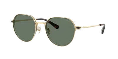 Coach Man Sunglass Hc7179 Cae81 In Gray