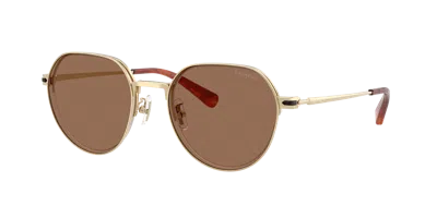 Coach Man Sunglass Hc7179 Cae81 In Brown