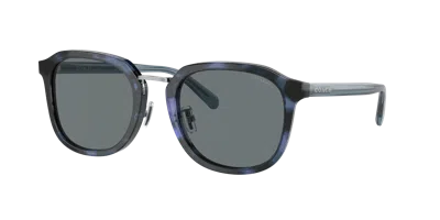 Coach Man Sunglass Hc8366 Ch577