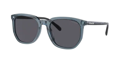 Coach Man Sunglass Hc8384u Cl911