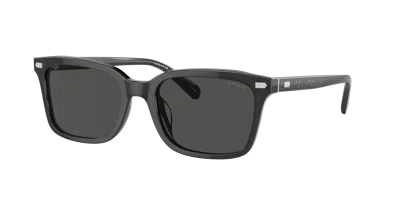Coach Man Sunglass Hc8398u Cr630 In Black