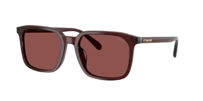 Coach Man Sunglass Hc8411u Cw405